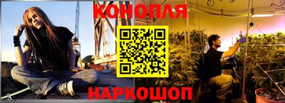 альфа пвп Владивосток