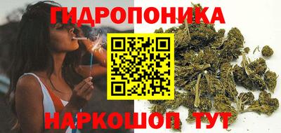 стафф Владимир