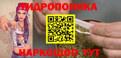 стафф Владимир