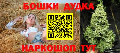 крисы Владикавказ
