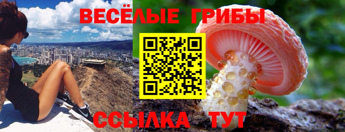 Псилоцибиновые грибы Psilocybe  купить  сайты  Саки  Вход с VPN 